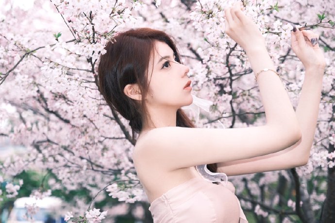 莲花楼